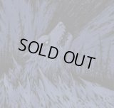 Winter Blackness - Freezing Aura of Blackened Depths / CD