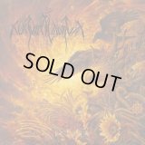 Nokturnal Mortum - Verity / DigiBookCD