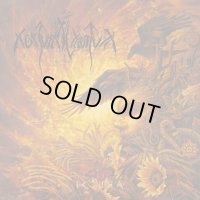 Nokturnal Mortum - Verity / DigiBookCD