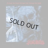 Ungoliantha - Сквозь хаос, сквозь время, сквозь смерть / CD