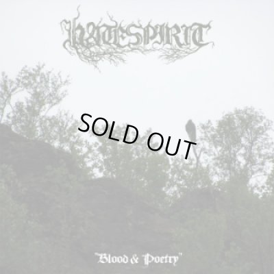 画像1: Hatespirit - Blood & Poetry / CD