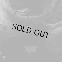 Ultha - Converging Sins / DigiCD