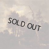 Distant Shapes - Autumn Fall / CD