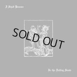 I Shalt Become - In the Falling Snow / CD
