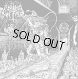 Naked Whipper - Painstreaks / LP