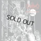 Sorghegard - Holocaust of the Holy / Gateford LP (Red Color)