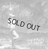 Anaboth - Scierwo o bruk / CD