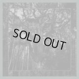 Enisum - Seasons of Desolation / DigiCD