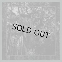 Enisum - Seasons of Desolation / DigiCD