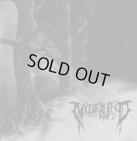 Nordwind - Walk to the Woods / Nordwind / CD