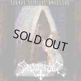 Sapaudia - Furvus Spiritus Ancellus / DigiCD