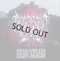 Al-Namrood - Astfhl Al Tha'r / CD