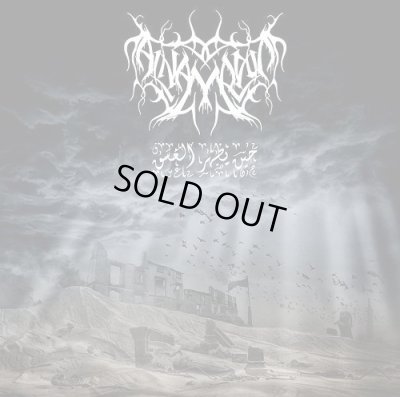 画像1: Al-Namrood - Heen Yadhar Al Ghsaq / CD