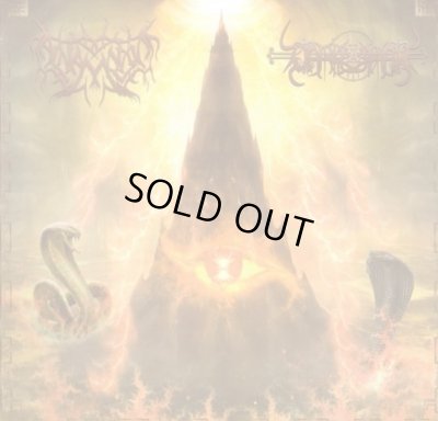 画像1: Darkestrah / Al-Namrood - Akyr Zaman / Tajer Al Punqia / CD