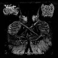 Violent Scum / Coffin Curse - Immersed in Cryptic Stench / CD