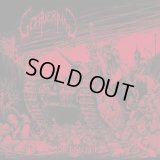 Goatvermin - Detruire / CD