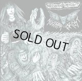 Nuclear Frost / Helvetin Viemarit - Split / CD