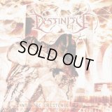 Destinity - Synthetic Existence / CD
