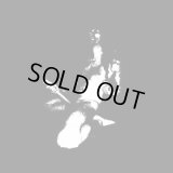 The Arrival of Satan - Vexing Verses / DigiCD