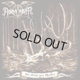 Asenheim - Der Geist des Waldes / LP