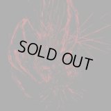 Burier - Wielding Malignity / CD