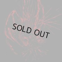 Burier - Wielding Malignity / CD