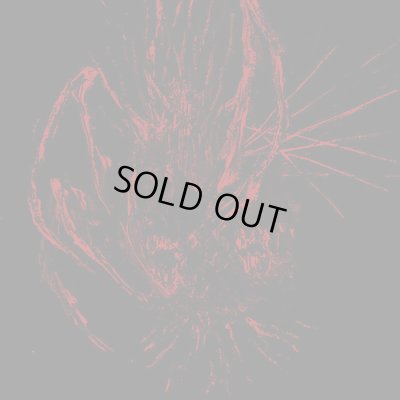 画像1: Burier - Wielding Malignity / CD