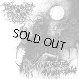 Drowning the Light - On Astral Wings of Wamphyric Shadows / CD