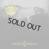 Lament in Winter's Night - At the Gates of the Eternal Storm / CD