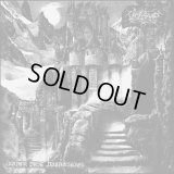 Vrorsaath - Under Vast Dreamskies / CD