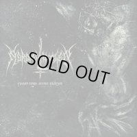 Noromi Lucalen - Vihaan sinua, Jeesus Kristus! / CD