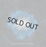 Basarabian Hills - Enveloped In The Velvet Cloak Of Midnight / CD