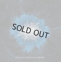 Basarabian Hills - Enveloped In The Velvet Cloak Of Midnight / CD