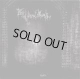 Endless Dismal Moan - Ruin / CD