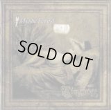 Mystic Forest - Romances / CD