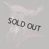 Destroyer 666 - Wildfire / CD