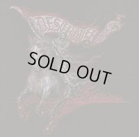 Destroyer 666 - Wildfire / CD