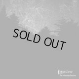 Mystic Forest - Art Memories Requiem / CD