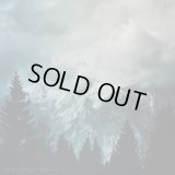 Veldes - Storm Borrower / CD