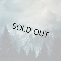 Veldes - Storm Borrower / CD