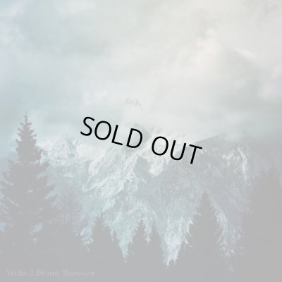 画像1: Veldes - Storm Borrower / CD