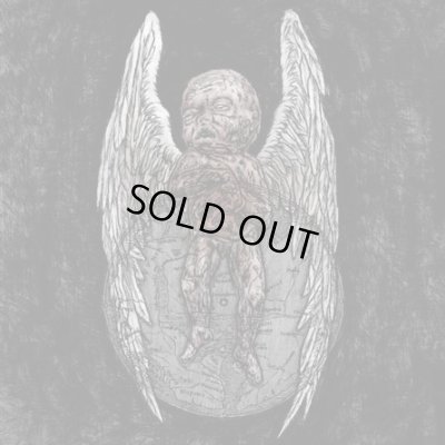 画像1: Deathspell Omega - Si Monumentum Requires, Circumspice / Gatefold2LP