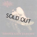 Candle Serenade - Nosferatu's Passion / CD