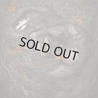 Nasheim - Jord och aska / DigiCD