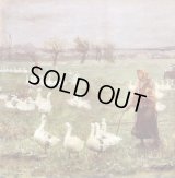 Rivers like Veins - Z iskier srebrnych orszakow / CD