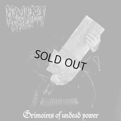 画像1: Haunt - Grimoires of Undead Power / CD
