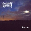 Woods of Infinity - Ljuset/ CD