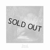 Djevel - Blant svarte graner / LP