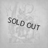 NettleCarrier - Black Coffin Rites / LP