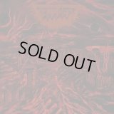 Teitanblood - The Baneful Choir / LP